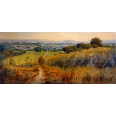 Tahir Bilal Ummi, 48 x 96 Inch, Oil on Canvas, Landscape Painting, AC-TBL-140